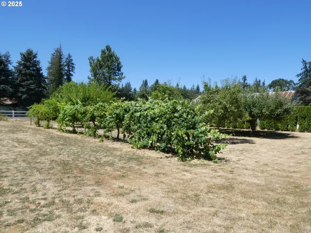 $1,495,000 | 26684 South Fish Road, Mulino, OR 97042