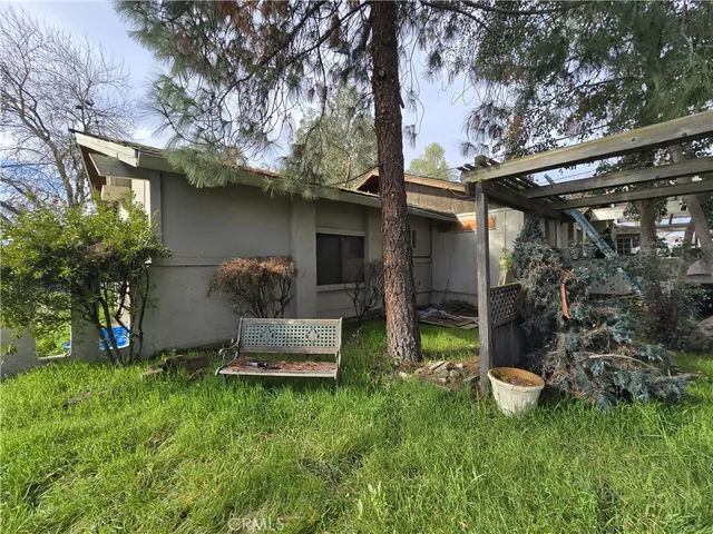 a view of a big yard with plants and trees