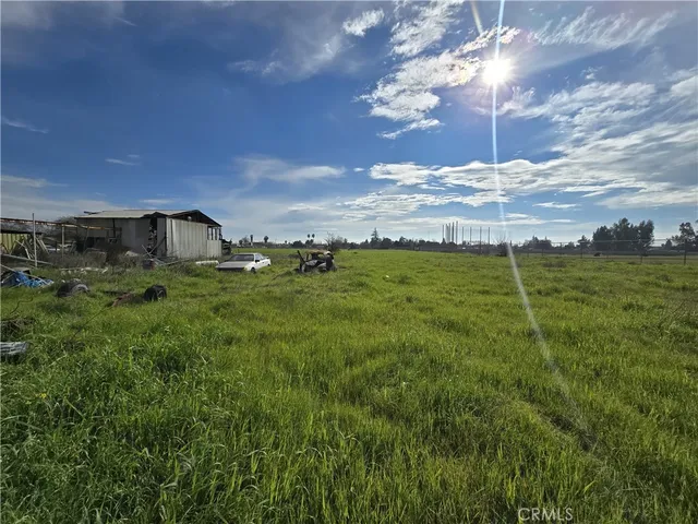 a view of a big yard with a large tree