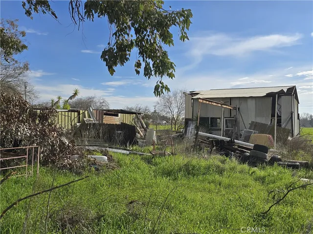 a view of a park with large trees