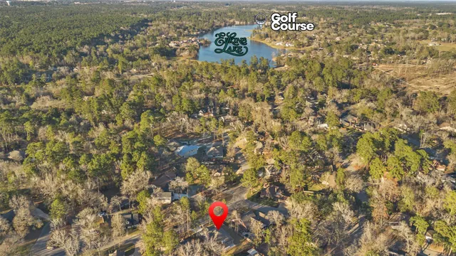 a close up of a plant in a field