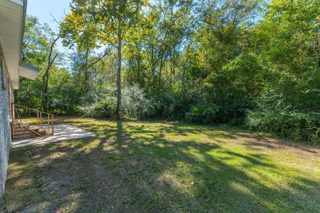 a view of a yard with a trees