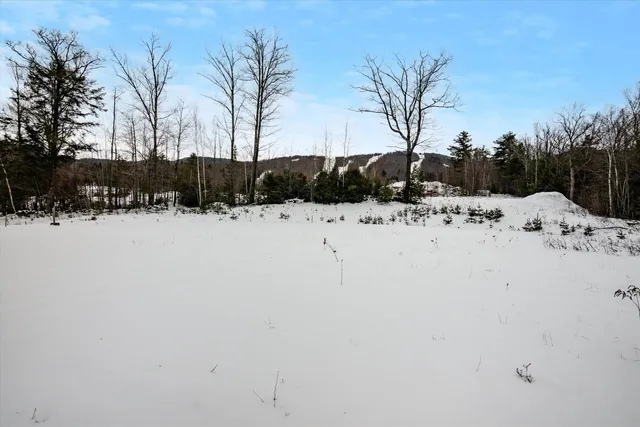 $500,000 | 0 Ragged Mountain Road, Danbury, NH 03230