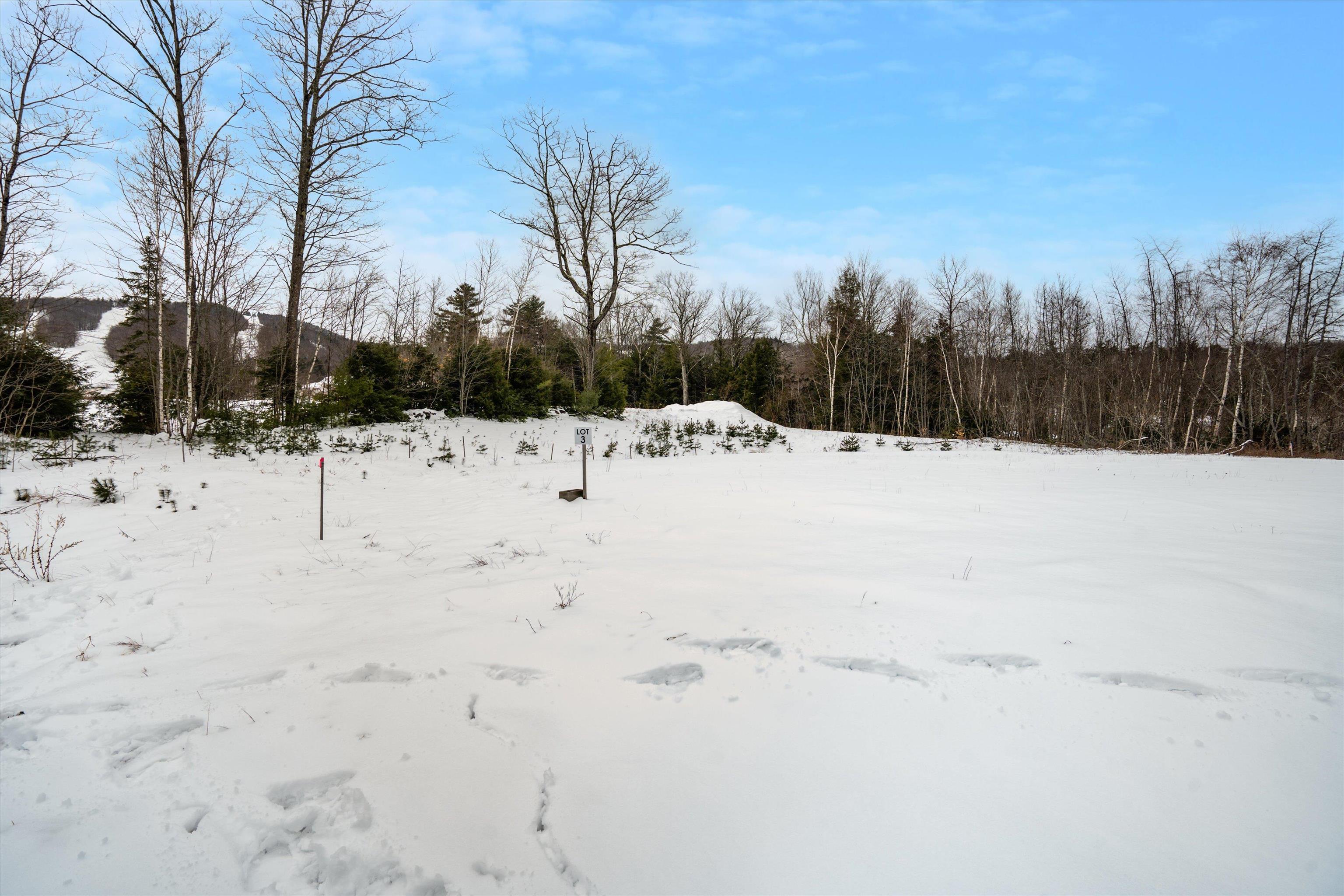 0 Ragged Mountain Road Danbury, NH 03230 - Photo 13 of 19