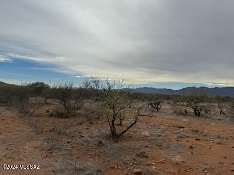 Tbd Camino Nacozari Drive, Unit 39C Rio Rico, AZ 85648 - Photo 6 of 16