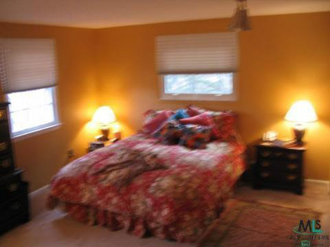 53595 Shelby Road Utica, MI 48316 - Photo 7 of 9 622628-6.JPG