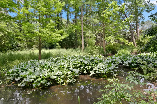 $870,000 | 6 Pecan Hollow Drive, Jackson, MS 39211