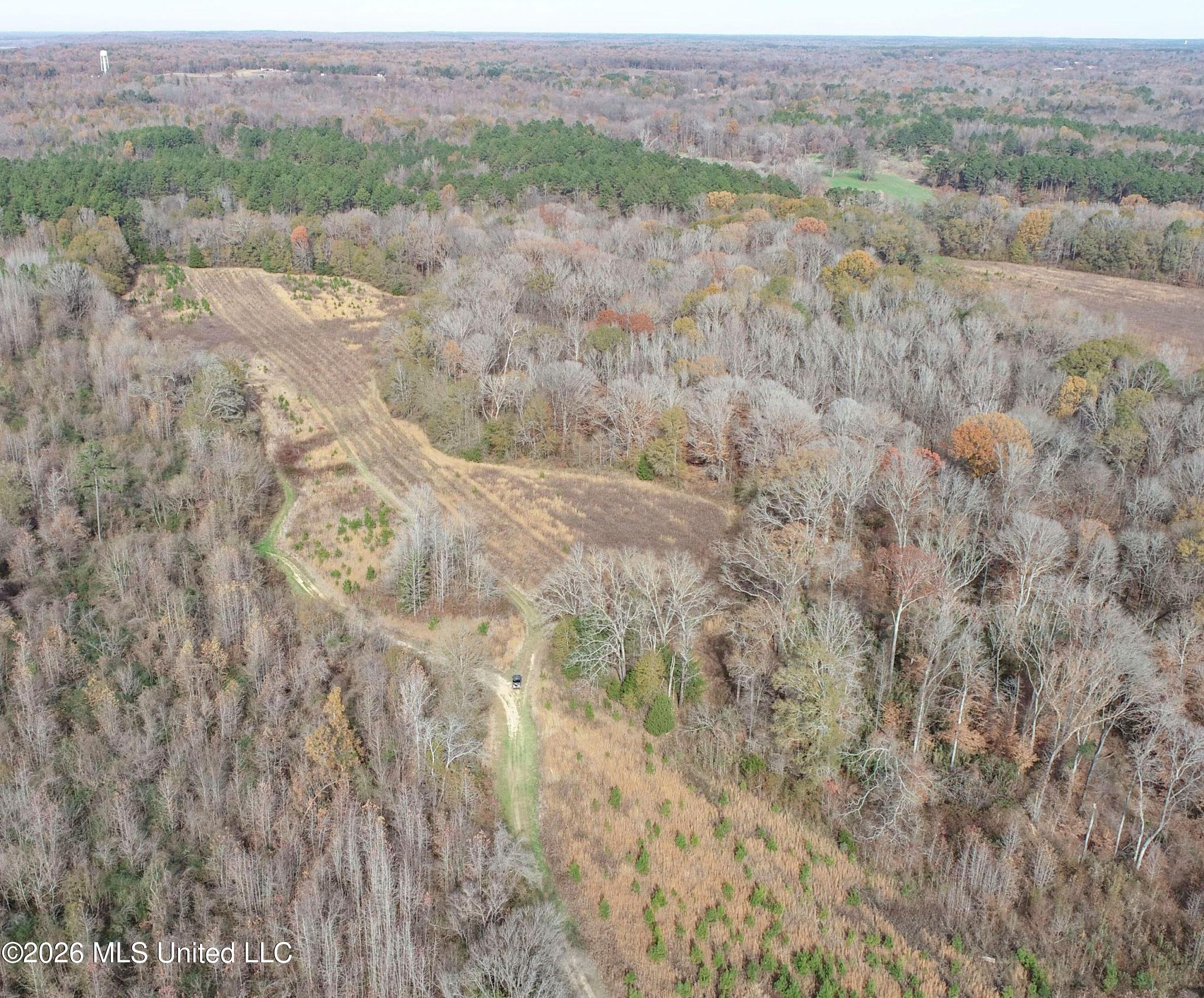 Chinqupin Road Lexington, MS 39095 - Photo 29 of 210 5chqpn16