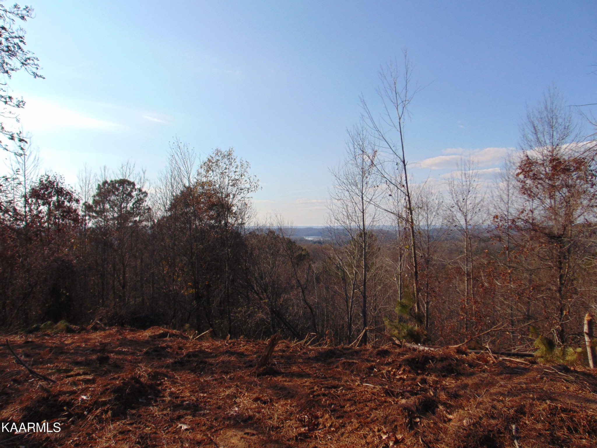 738 Lamontville Road Decatur, TN 37322 - Photo 57 of 60