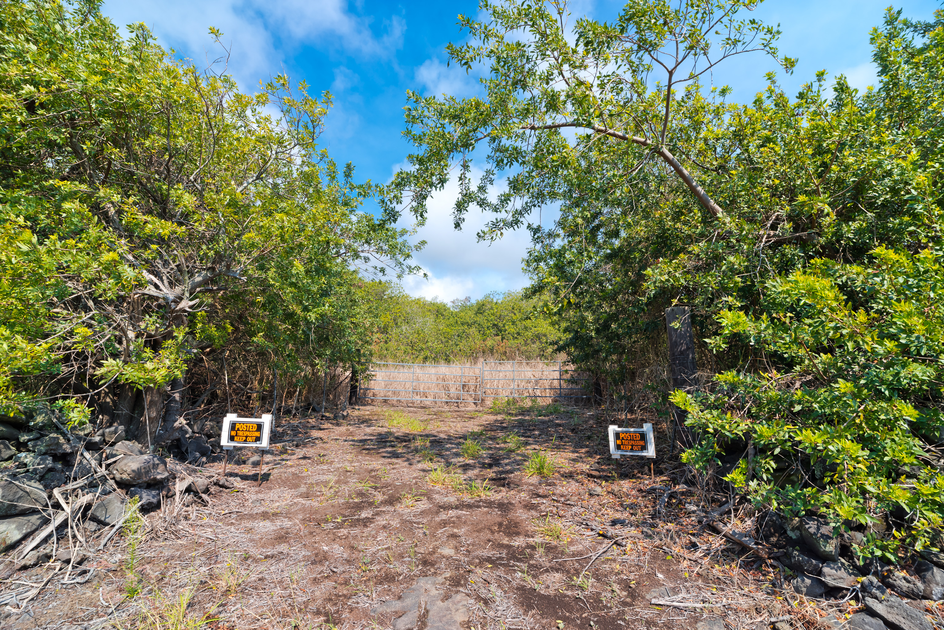 Kamaoa Road Naalehu, HI 96772 - Photo 3 of 3 Gallery Image 3