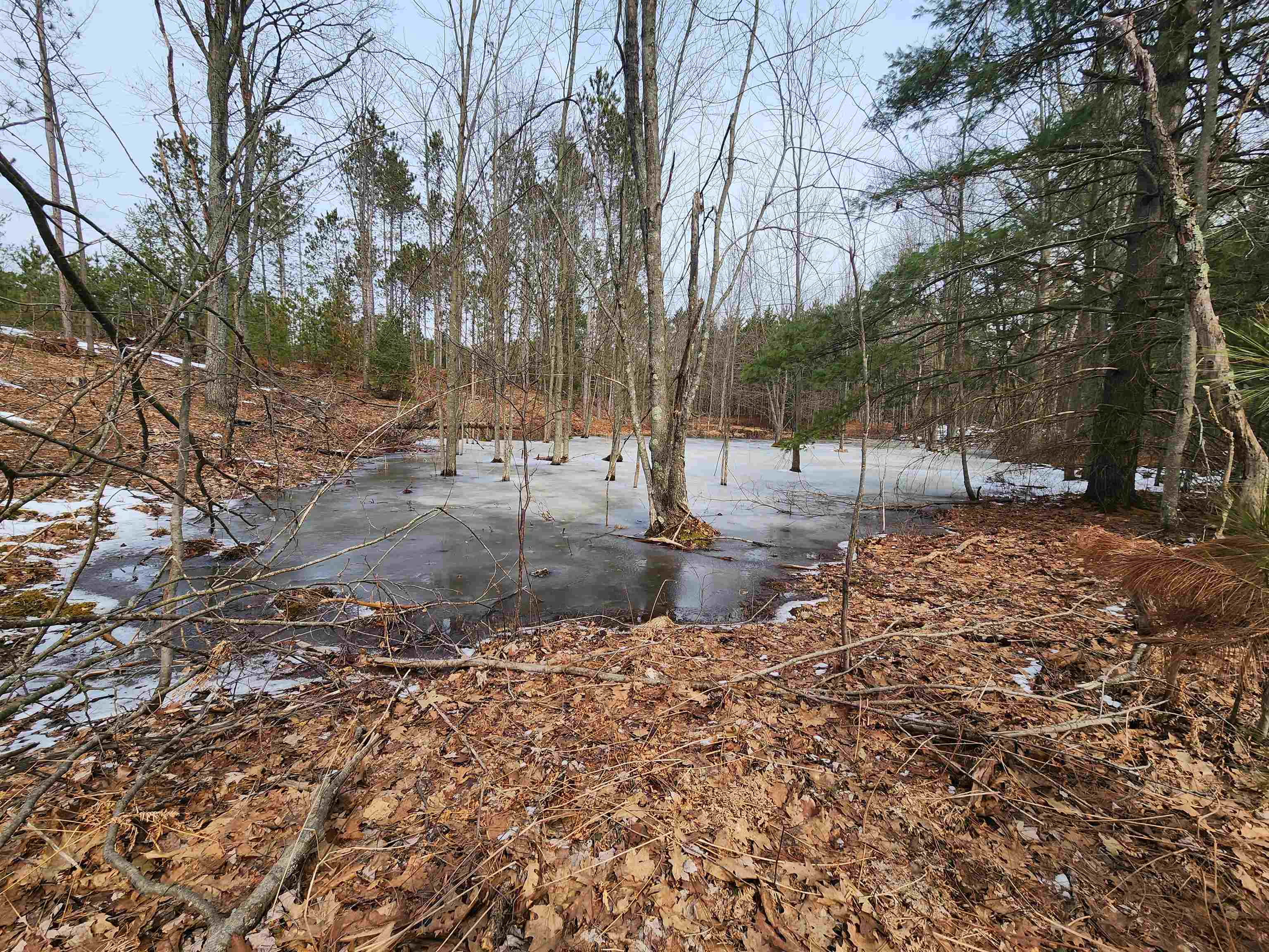 0 Niemi Road Kaleva, MI 49645 - Photo 10 of 23