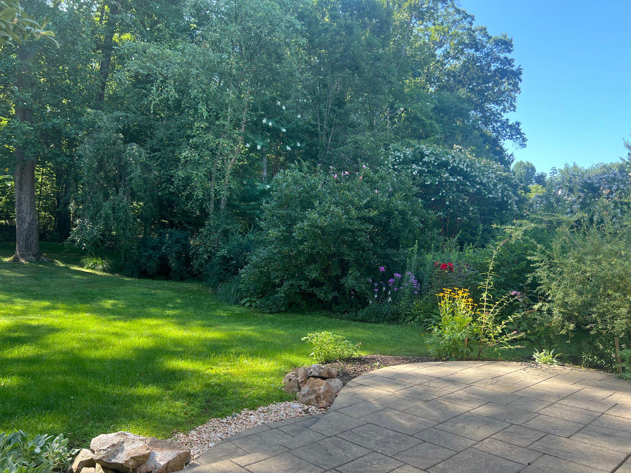 3727 Green Ridge Road Furlong, PA 18925 - Photo 5 of 7 Lush greenery in a tranquil garden.