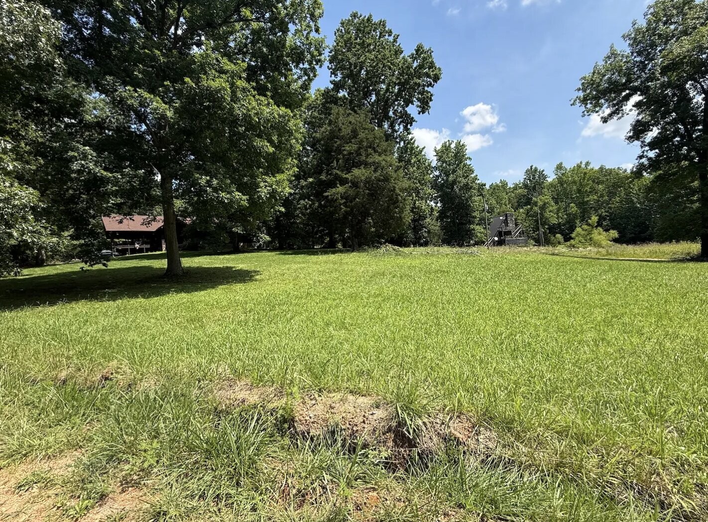 162 Tracy Road Hohenwald, TN 38462 - Photo 27 of 45