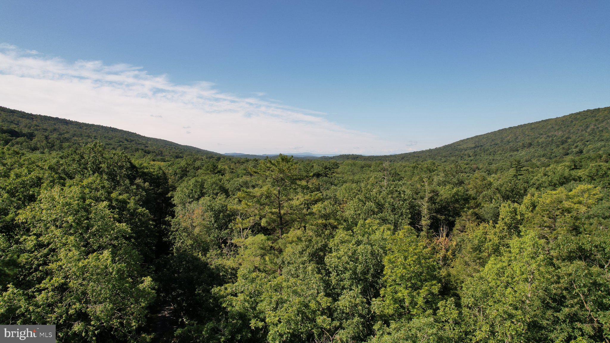 2233 Laurel Run Road Petersburg, PA 16669 - Photo 48 of 53 Gallery Image 48
