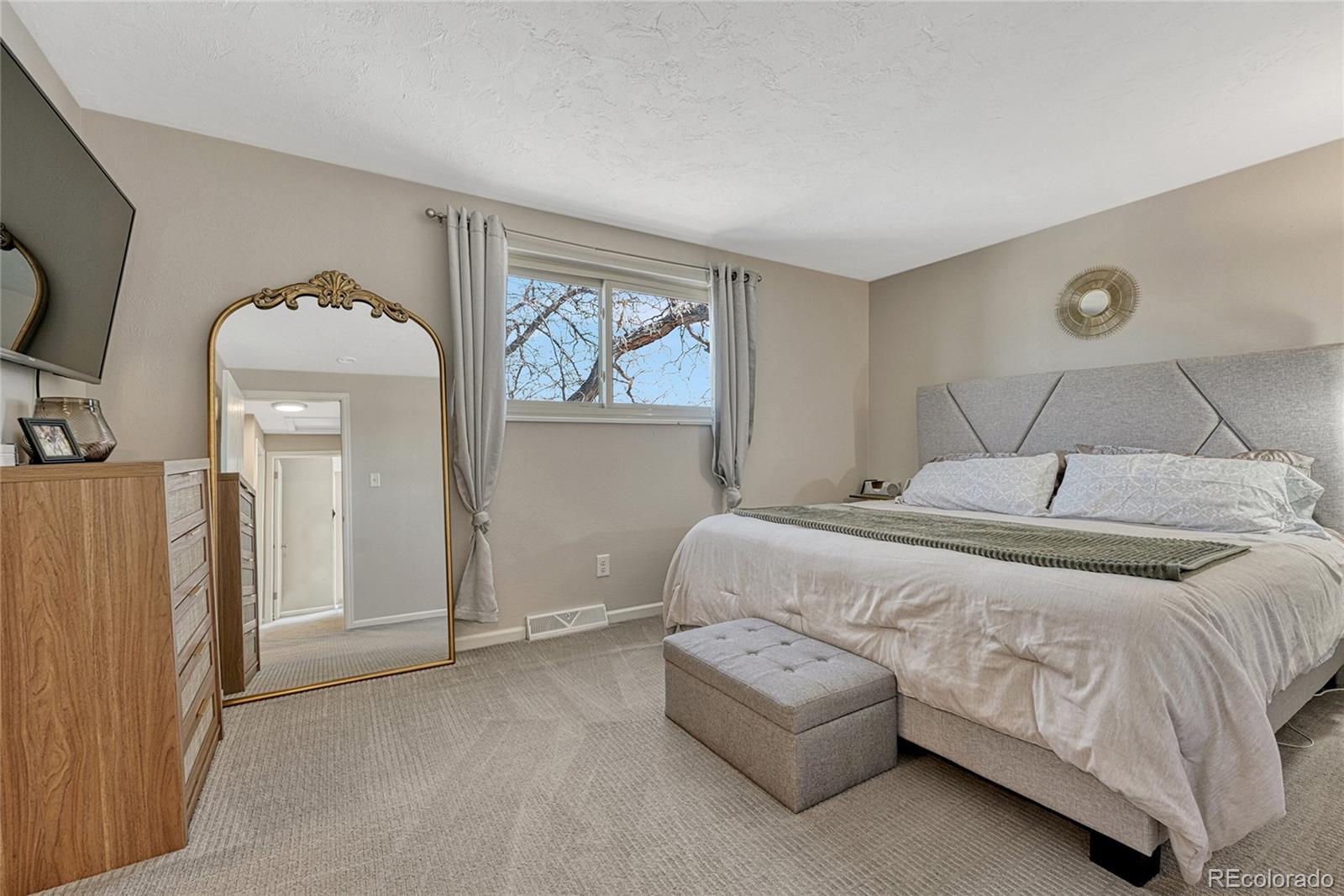 280 Jupiter Drive Lone Tree, CO 80124 - Photo 20 of 28