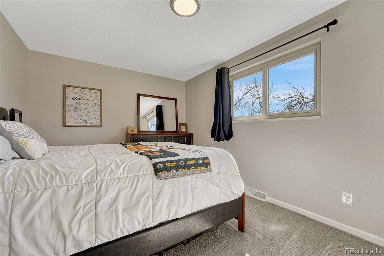 280 Jupiter Drive Lone Tree, CO 80124 - Photo 23 of 28