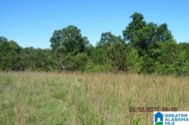 82-acres Creed Road, Unit 82 ACRES Lineville, AL 36266 - Photo 9 of 20