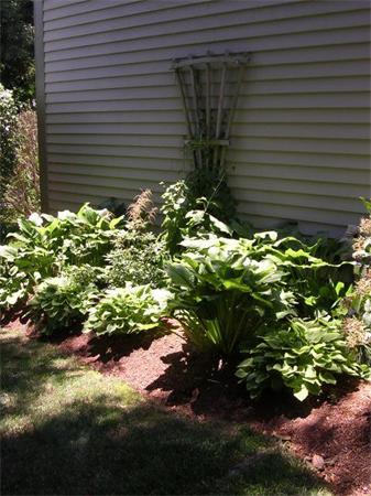 89 Potter Pond, Unit 89 Lexington, MA 02421 - Photo 15 of 16