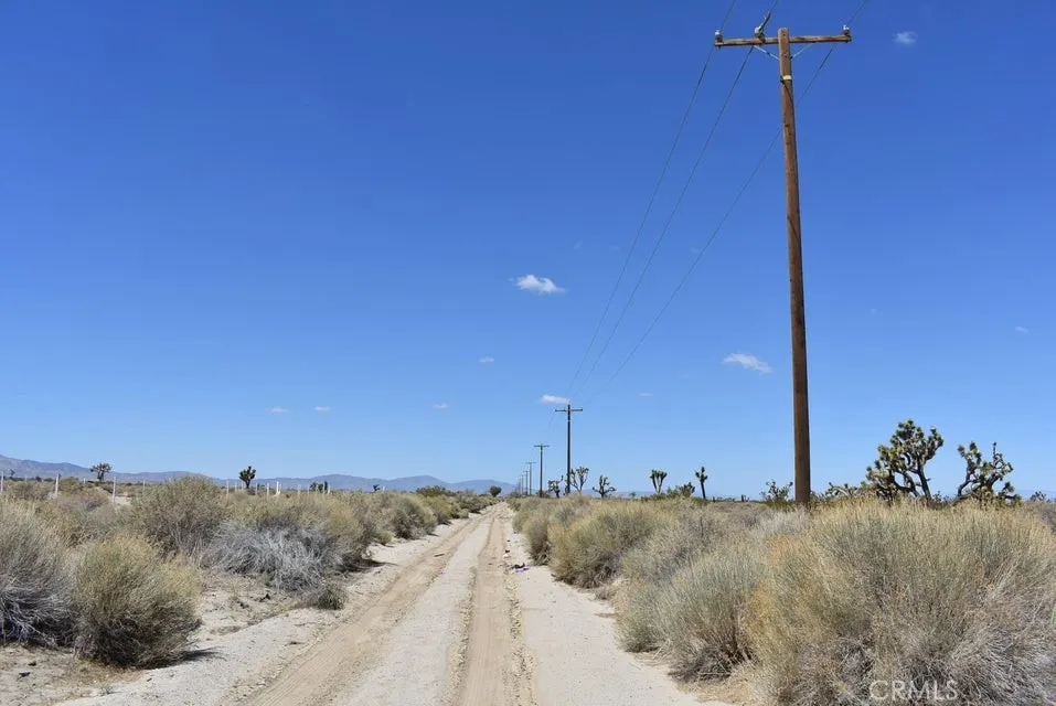 14500 Ave R Littlerock Ca Littlerock, CA 93543 - Photo 1 of 8 a view of a dry yard