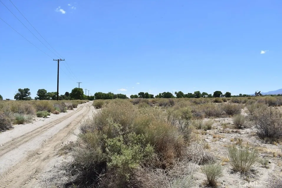 14500 Ave R Littlerock Ca Littlerock, CA 93543 - Photo 6 of 8 a view of a dry yard with trees