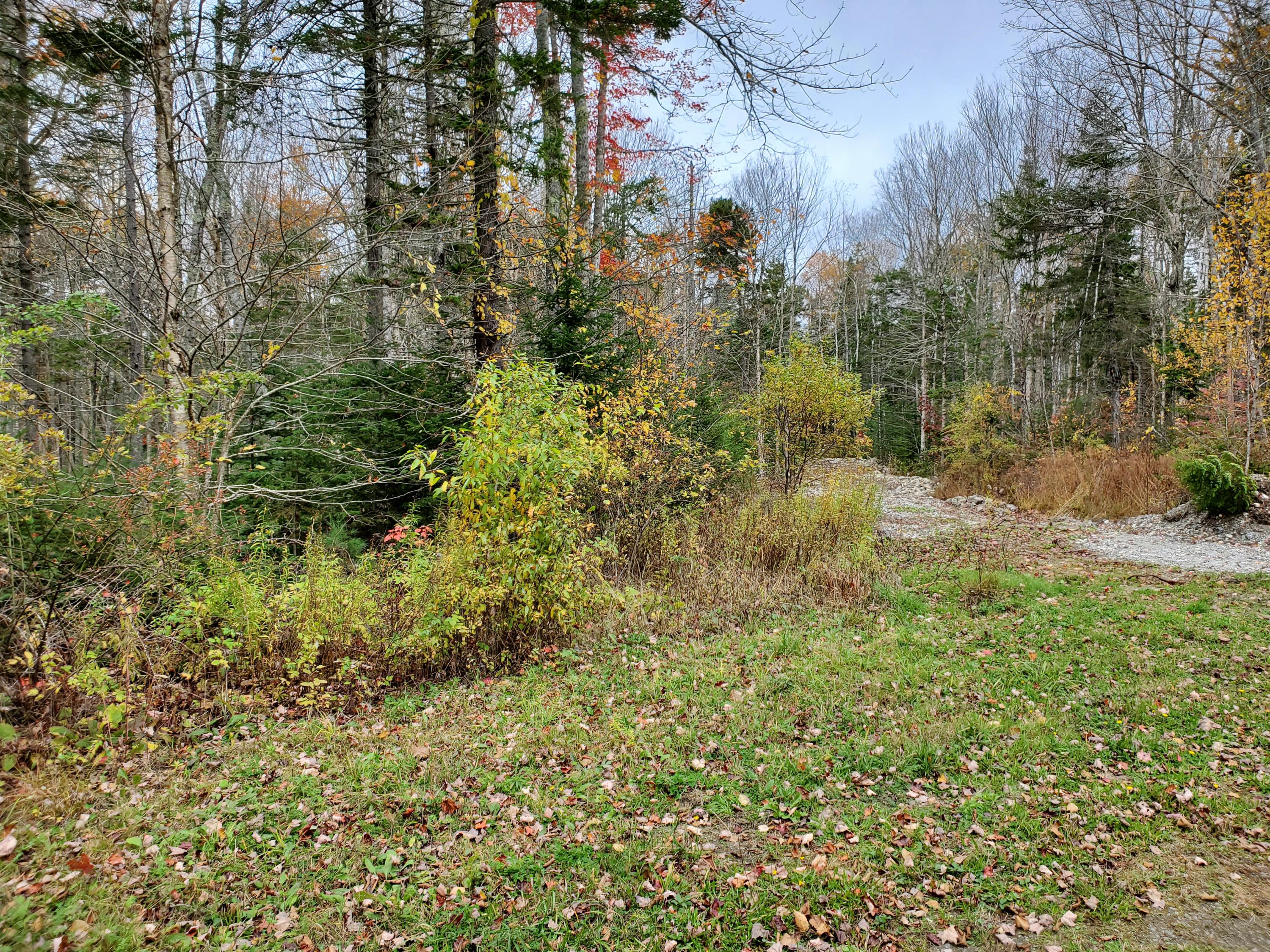 0 Ryans Lane Cushing, ME 04563 - Photo 3 of 8 Ryans Lane, Cushing