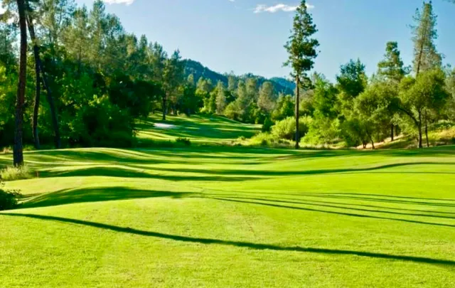 a view of a golf course with a trees