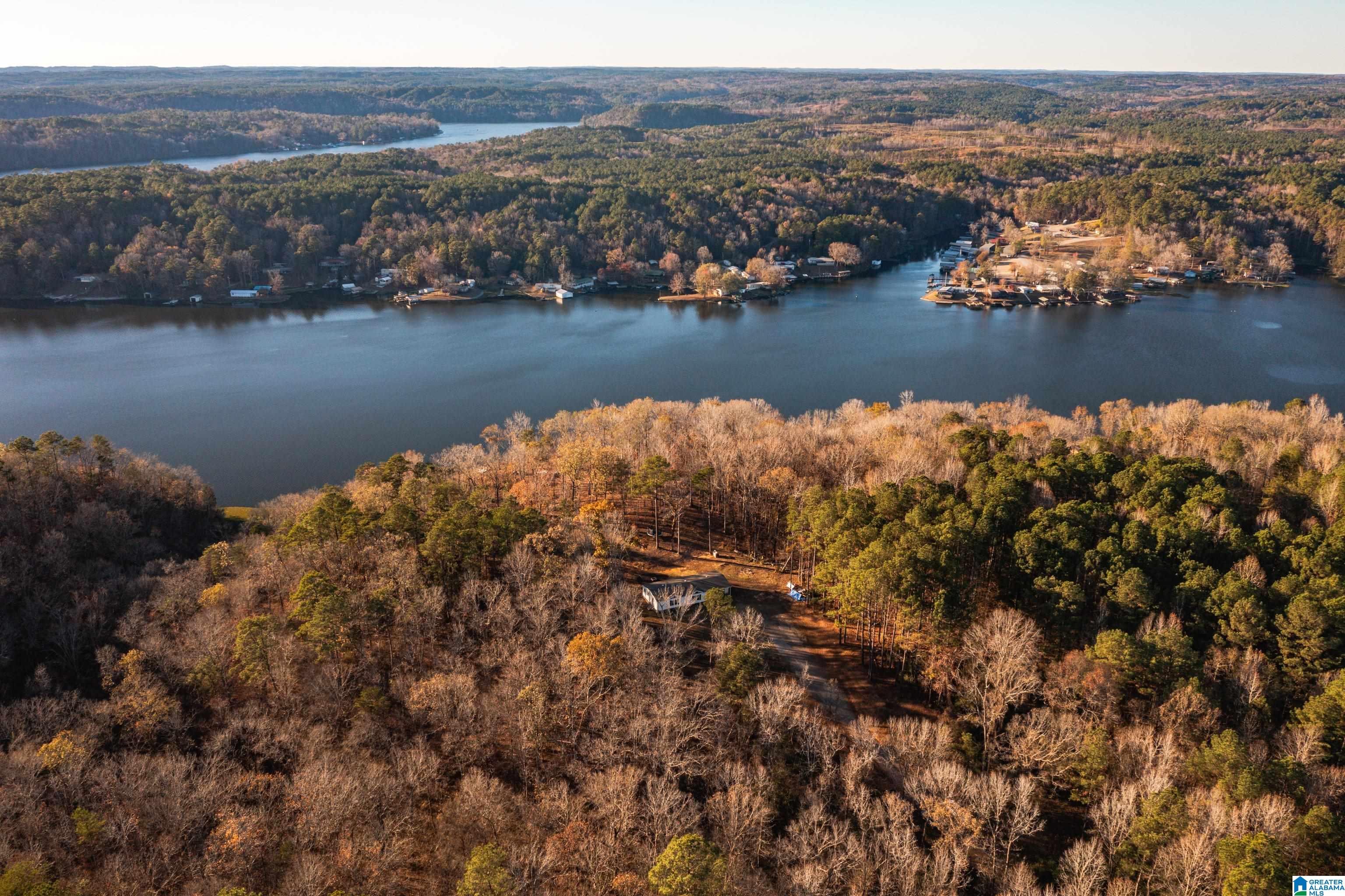 191 Warrior River Highlands Road Adger, AL 35006 - Photo 66 of 81