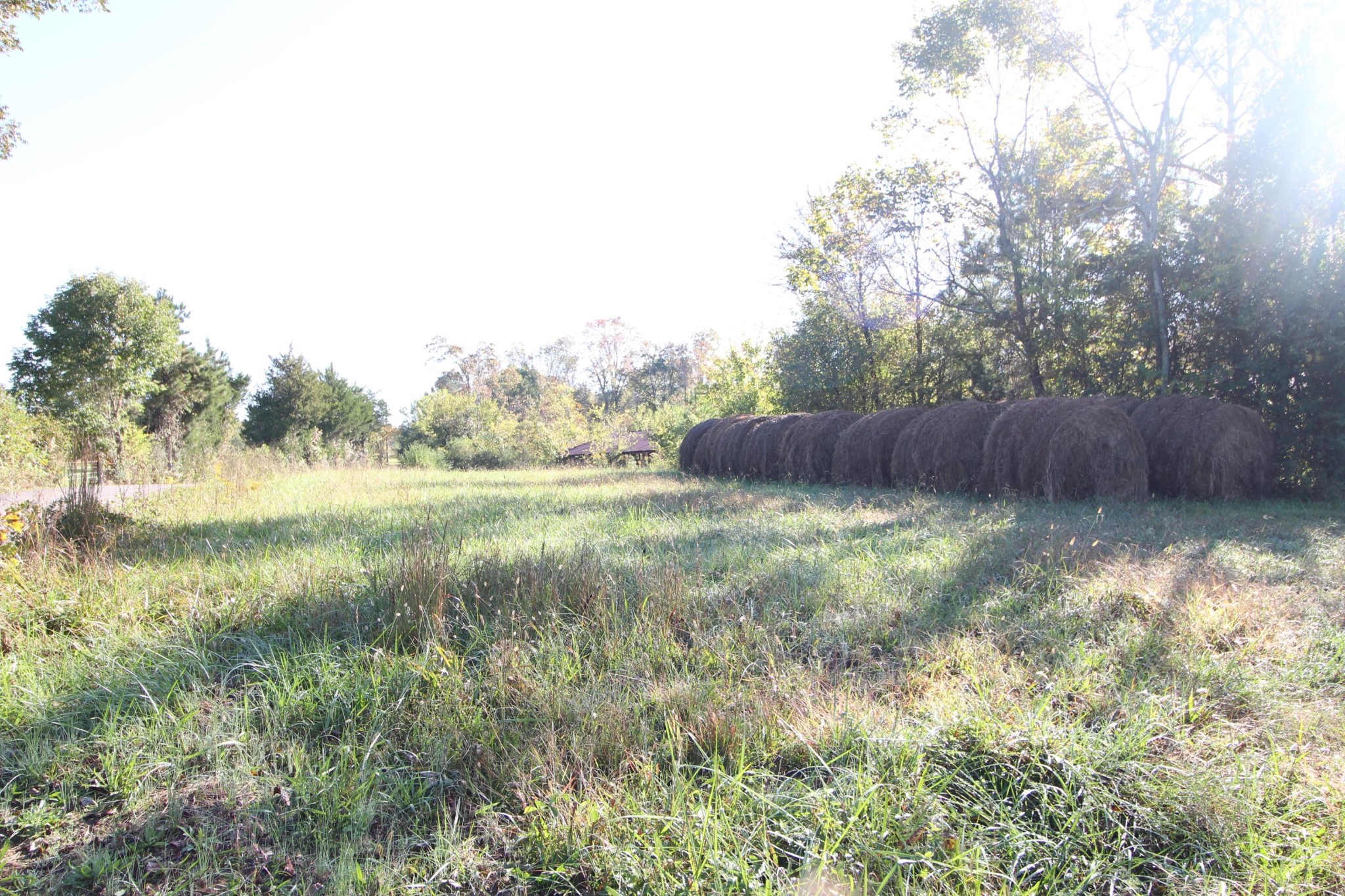 3 Southeast Reagan Road Cleveland, TN 37323 - Photo 3 of 8