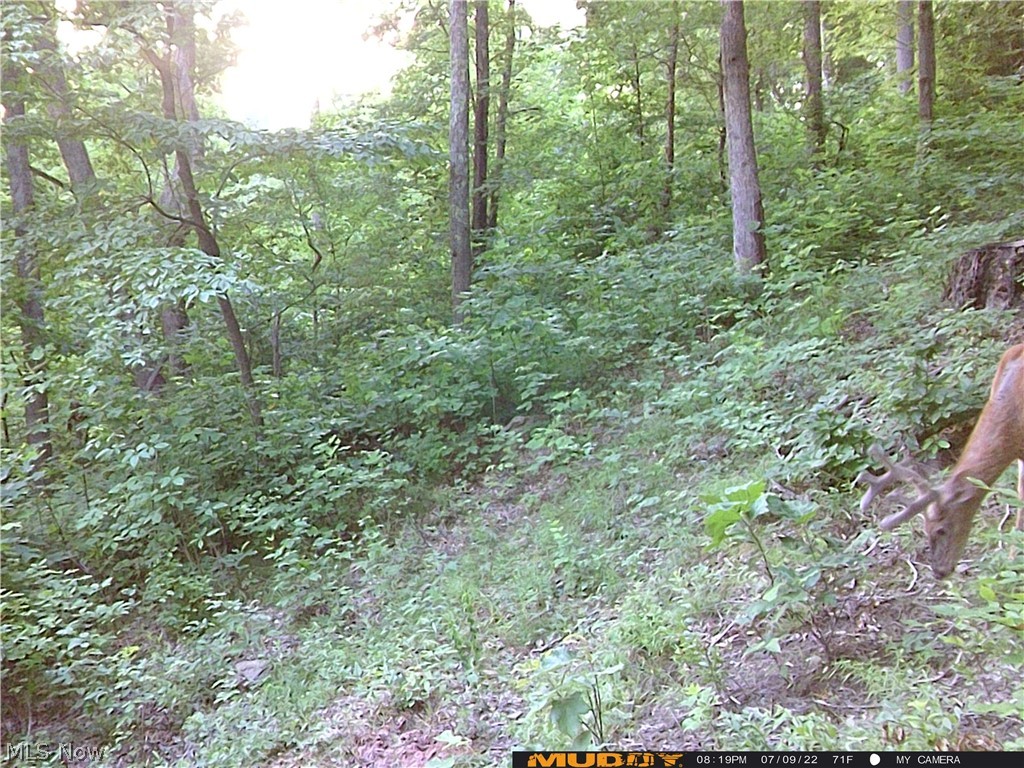 Campbell Road Freeport, OH 43973 - Photo 32 of 33 Gallery Image 32
