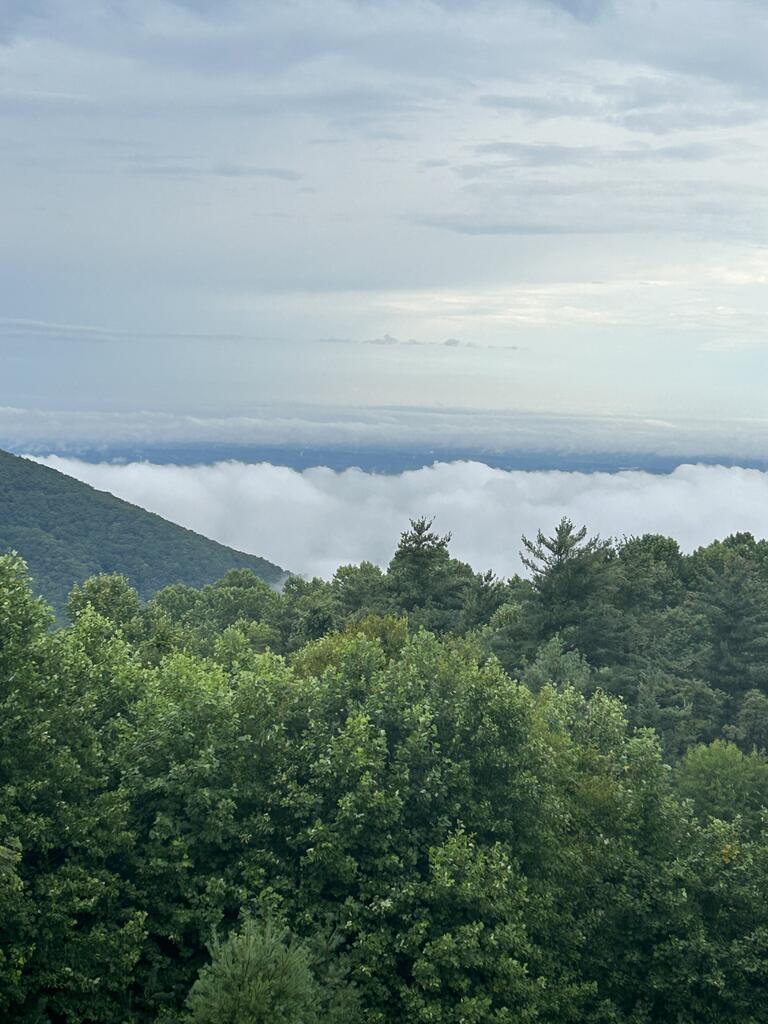 86 Sugar Loaf Road Fancy Gap, VA 24328 - Photo 14 of 65 Gallery Image 14