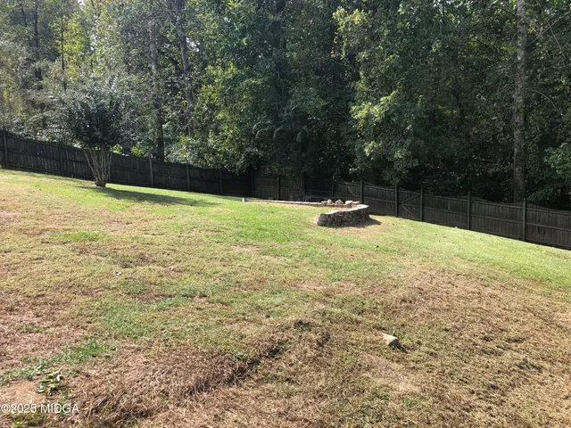 a view of a yard with a large tree