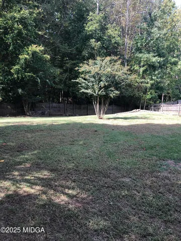 a view of a big yard with trees