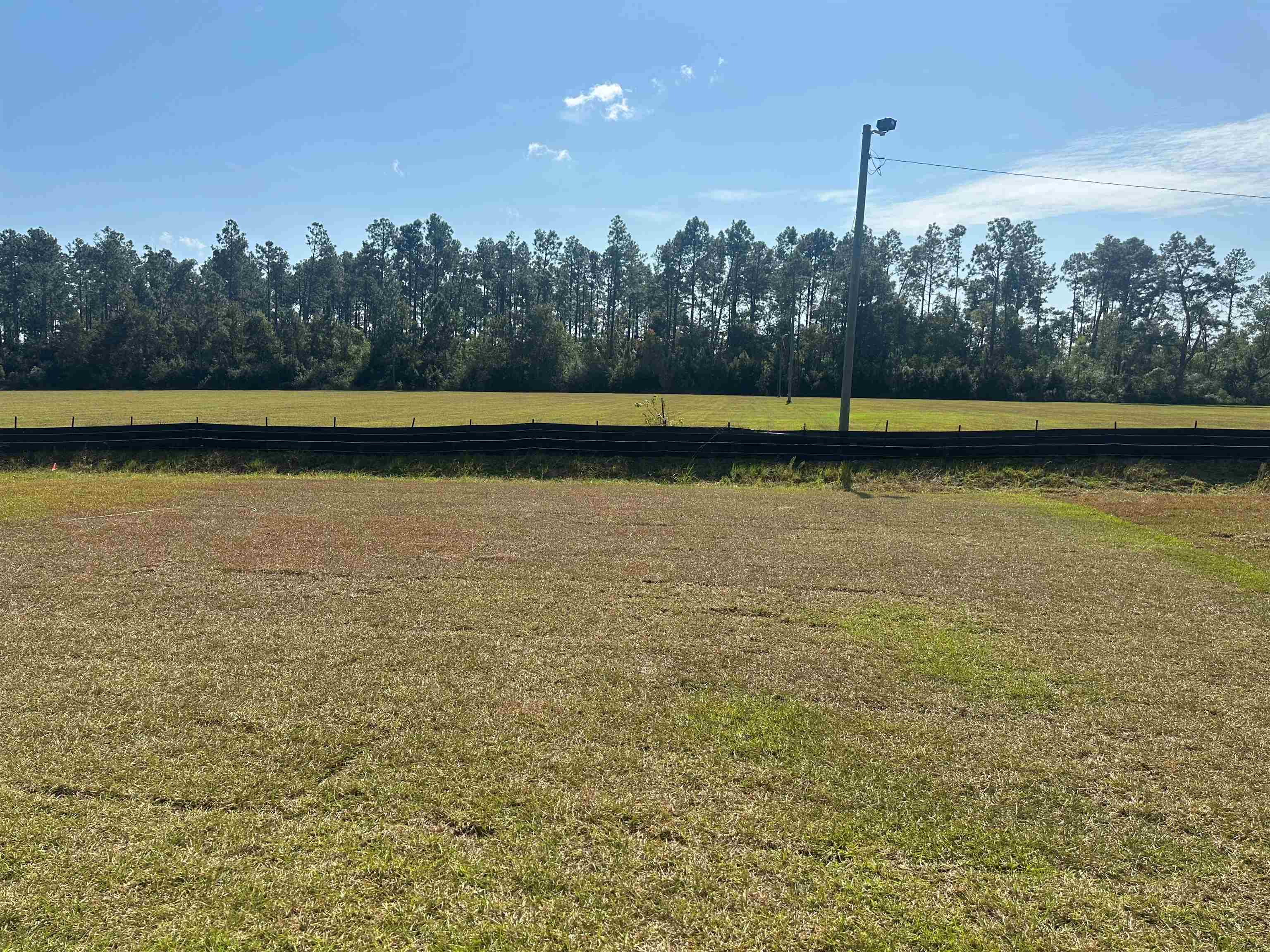 1243 Hayward Loop Foley, AL 36535 - Photo 17 of 32 View of backyard from porch