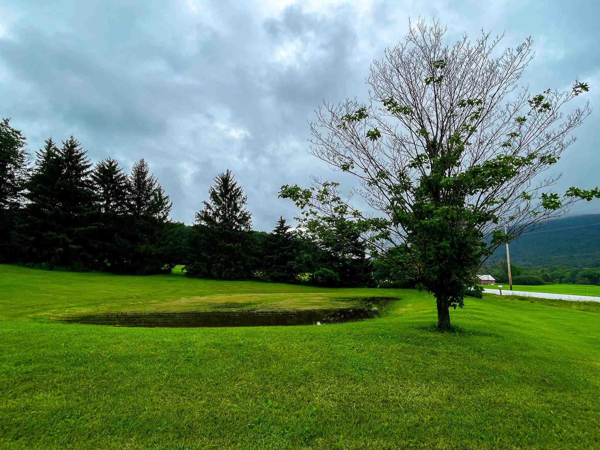 7718 Highway 22A Addison, VT 05491 - Photo 28 of 40 Gallery Image 28