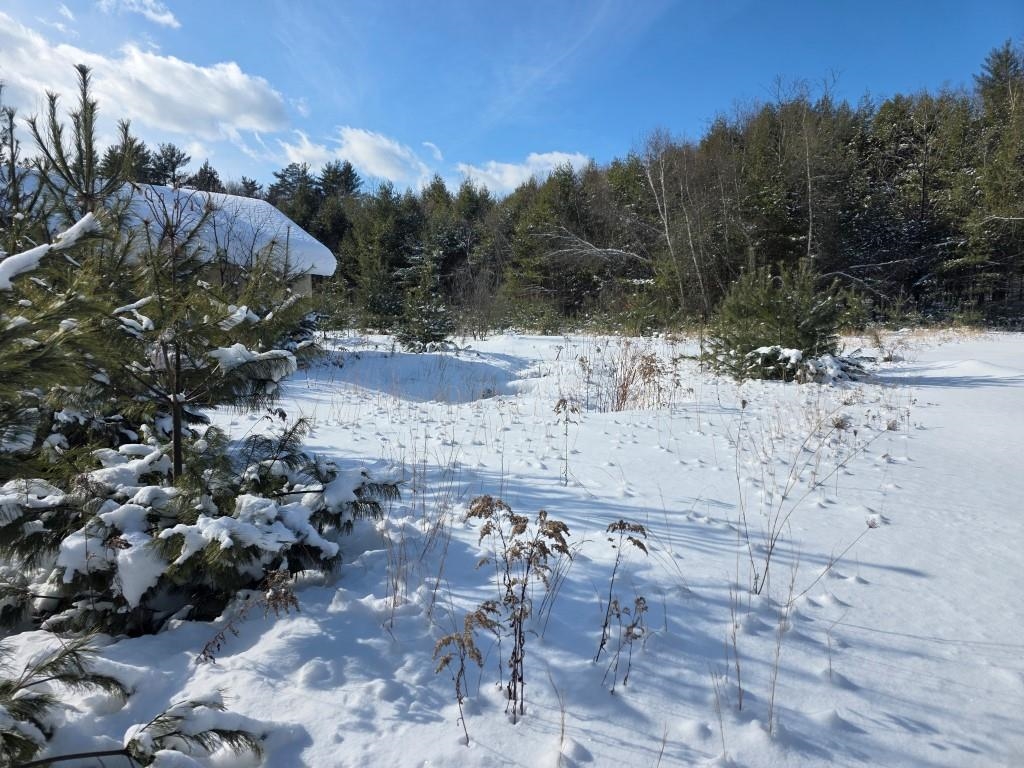 108 Kempton Road Swanzey, NH 03446 - Photo 36 of 36