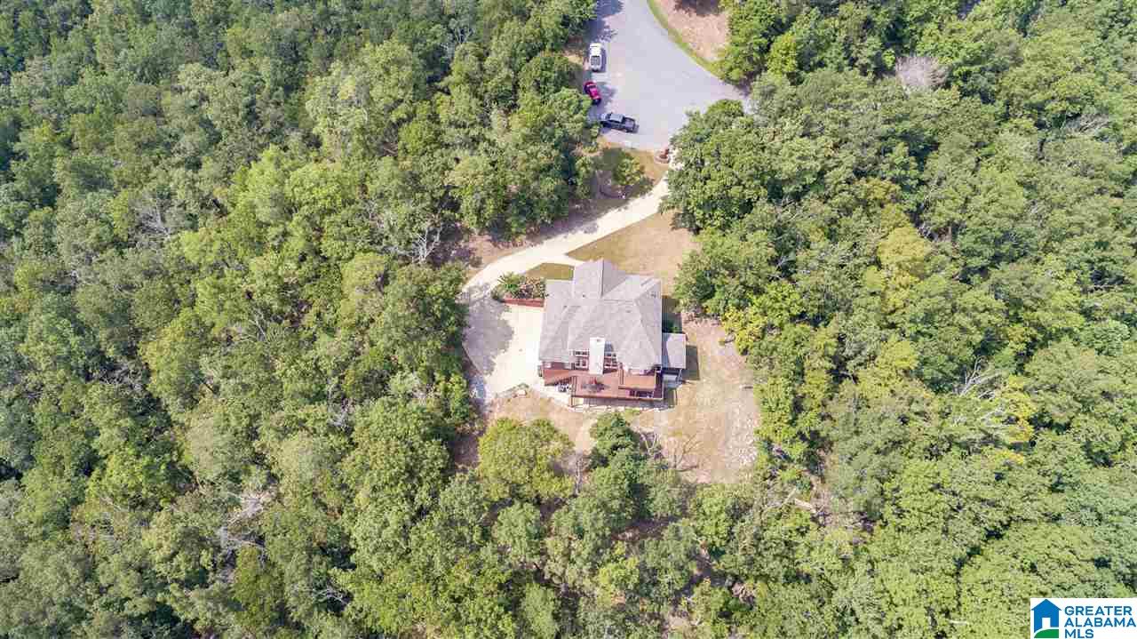 328 Kings Crest Lane Pelham, AL 35124 - Photo 8 of 41
