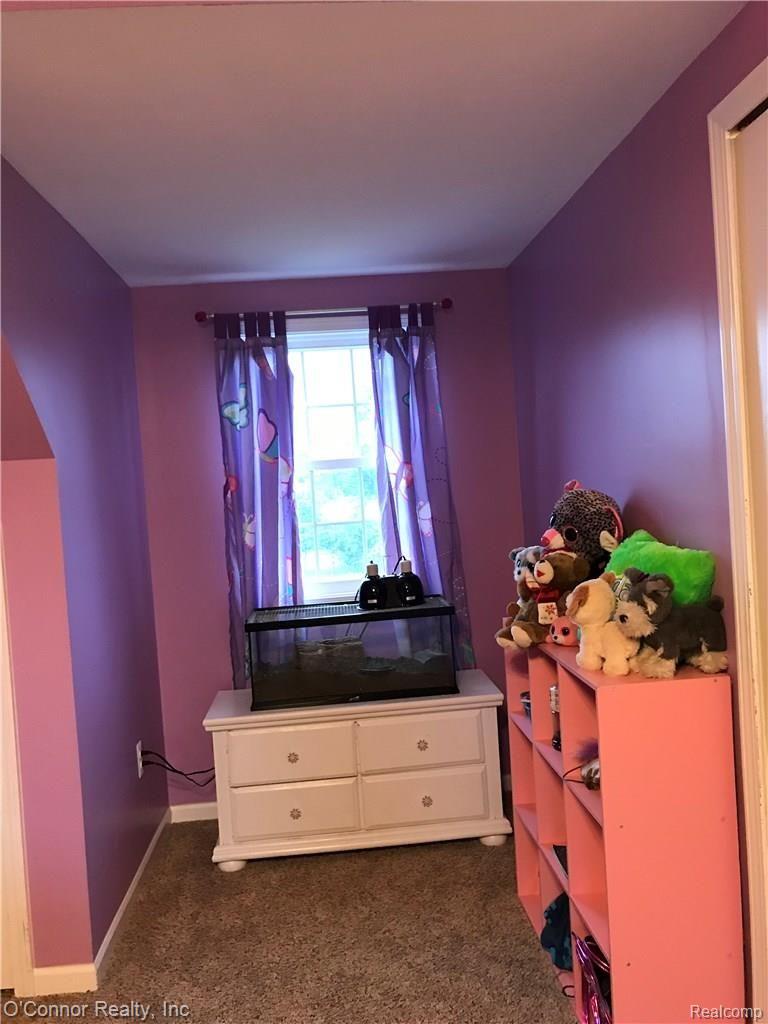 593 Mayer Road Goodells, MI 48027 - Photo 12 of 16 16.jpg