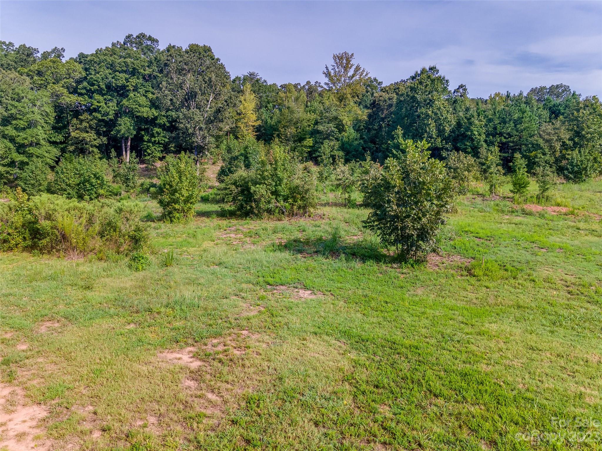 0 Anderson Burgess Road Sharon, SC 29742 - Photo 12 of 13