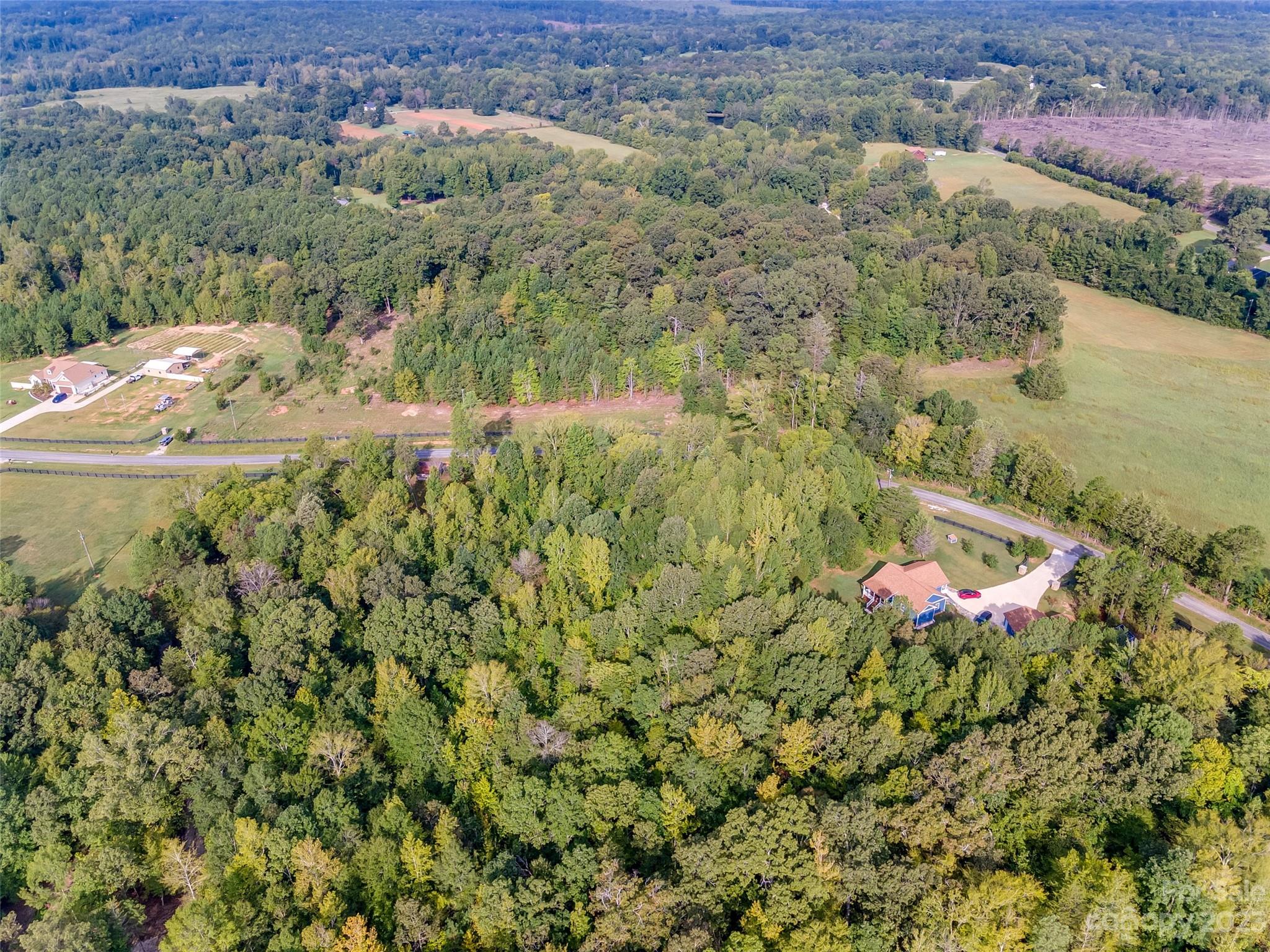 0 Anderson Burgess Road Sharon, SC 29742 - Photo 3 of 13