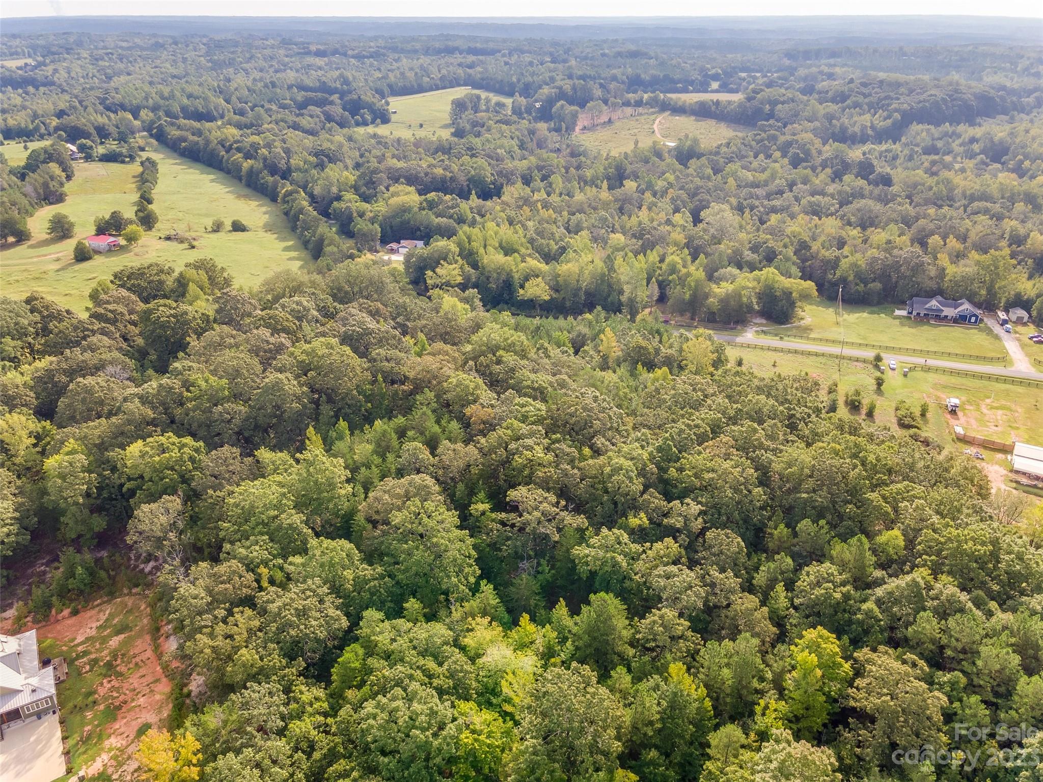 0 Anderson Burgess Road Sharon, SC 29742 - Photo 7 of 13