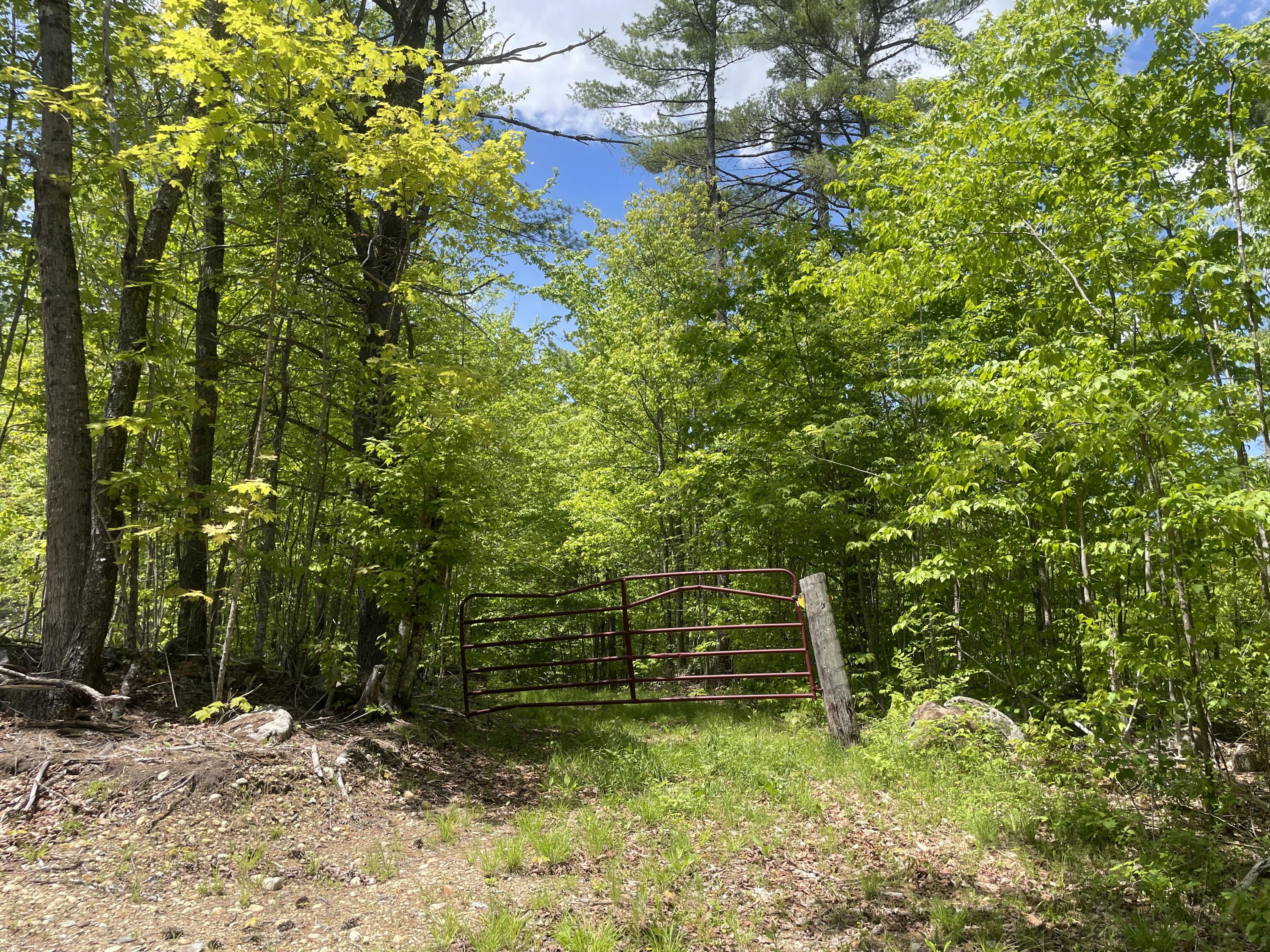 0 Breakneck Hill Road Porter, ME 04068 - Photo 5 of 27 Photo May 28 2025, 12 41 22 PM