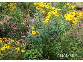 1084 Cabin Ridge Cullowhee, NC 28723 - Photo 22 of 24 Gallery Image 22