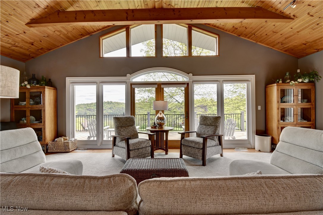 85530 Beagle Club Road Scio, OH 43988 - Photo 11 of 49 Living area with wooden ceiling, carpet, and high vaulted ceiling
