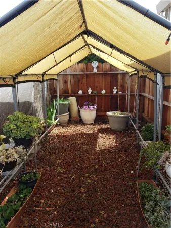 a view of a backyard with plants and patio