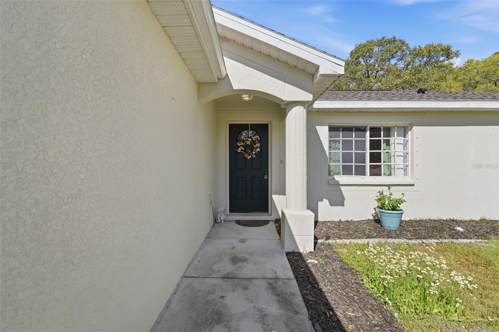13039 Kittiwake Road Weeki Wachee, FL 34614 - Photo 3 of 55