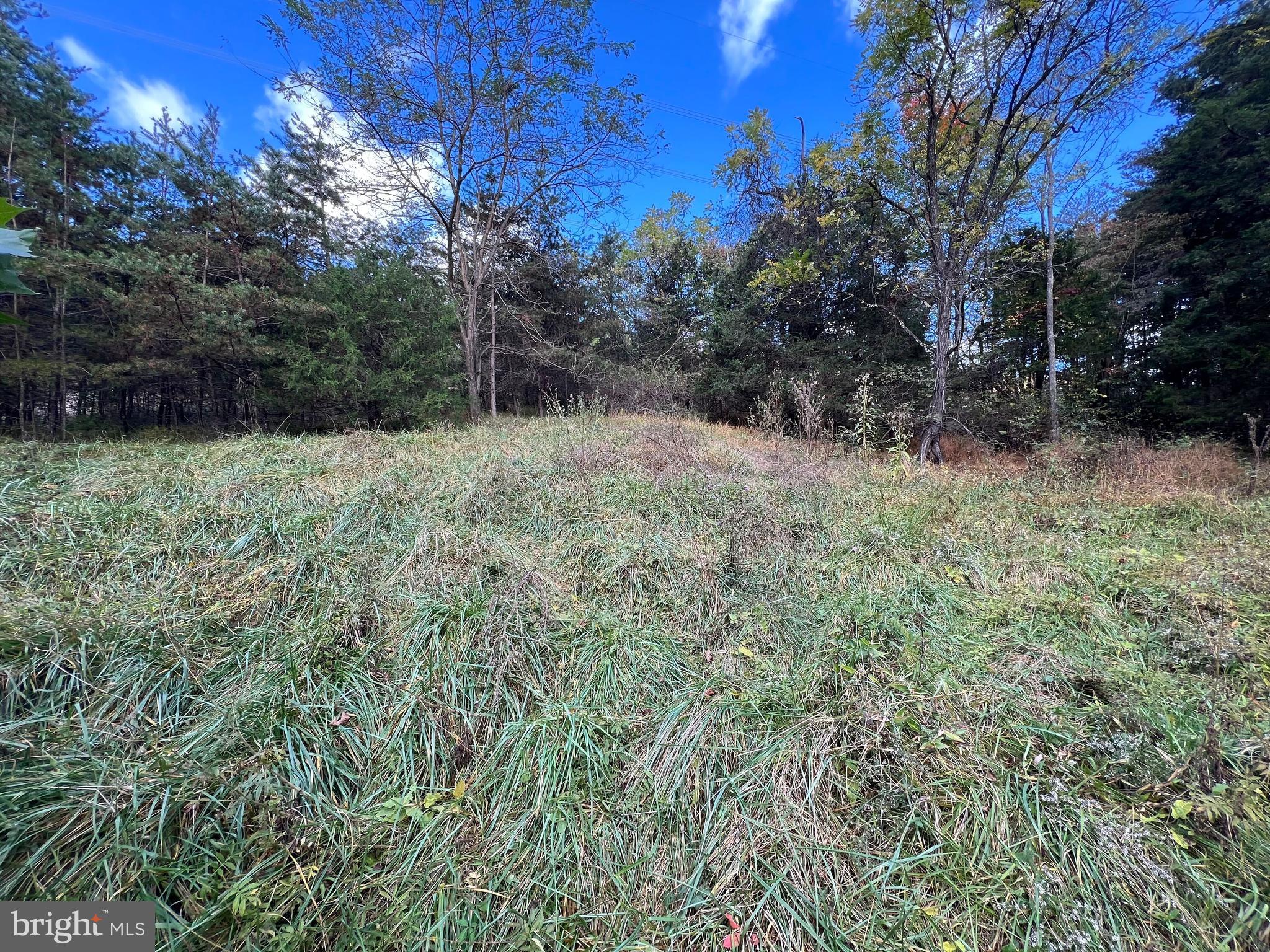Lot 6 Deep Run Hollow Road Delray, WV 26714 - Photo 2 of 18 a view of a yard with a tree