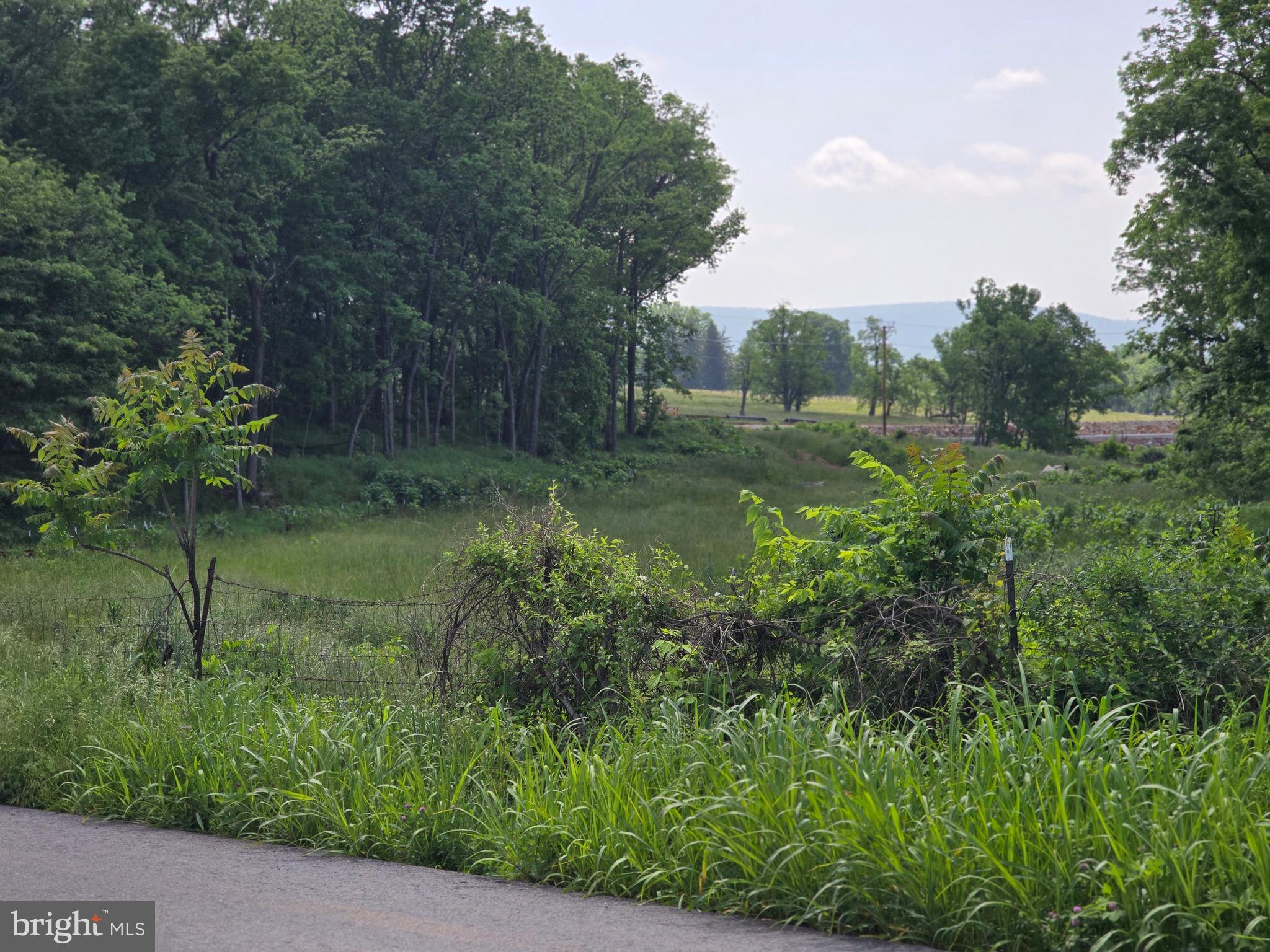 Lewisville Rd Summit Point Summit Point, WV 25446 - Photo 3 of 29 a view of a garden with a tree