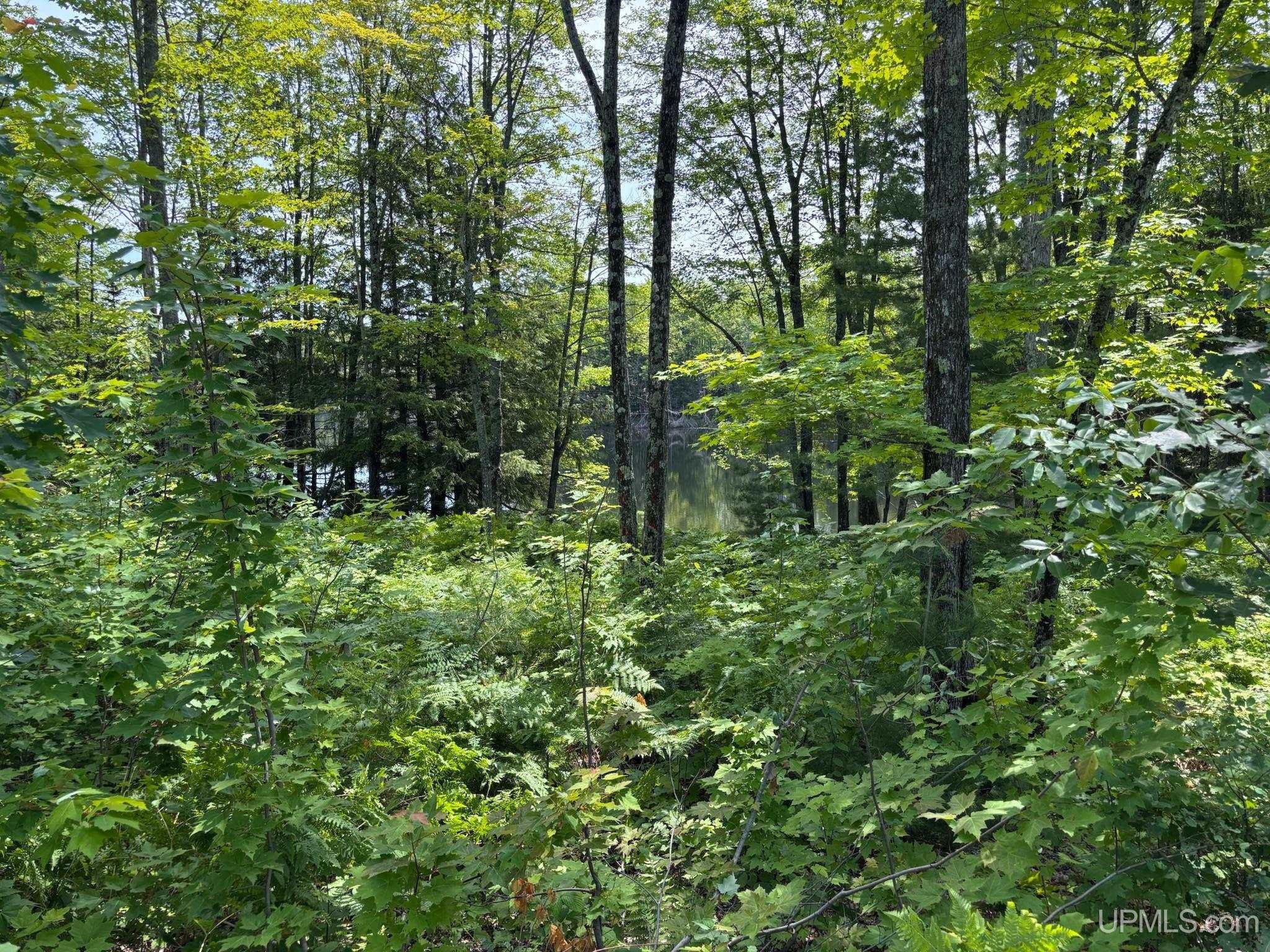 Horseshoe Lake Road Toivola, MI 49965 - Photo 47 of 70 Gallery Image 47