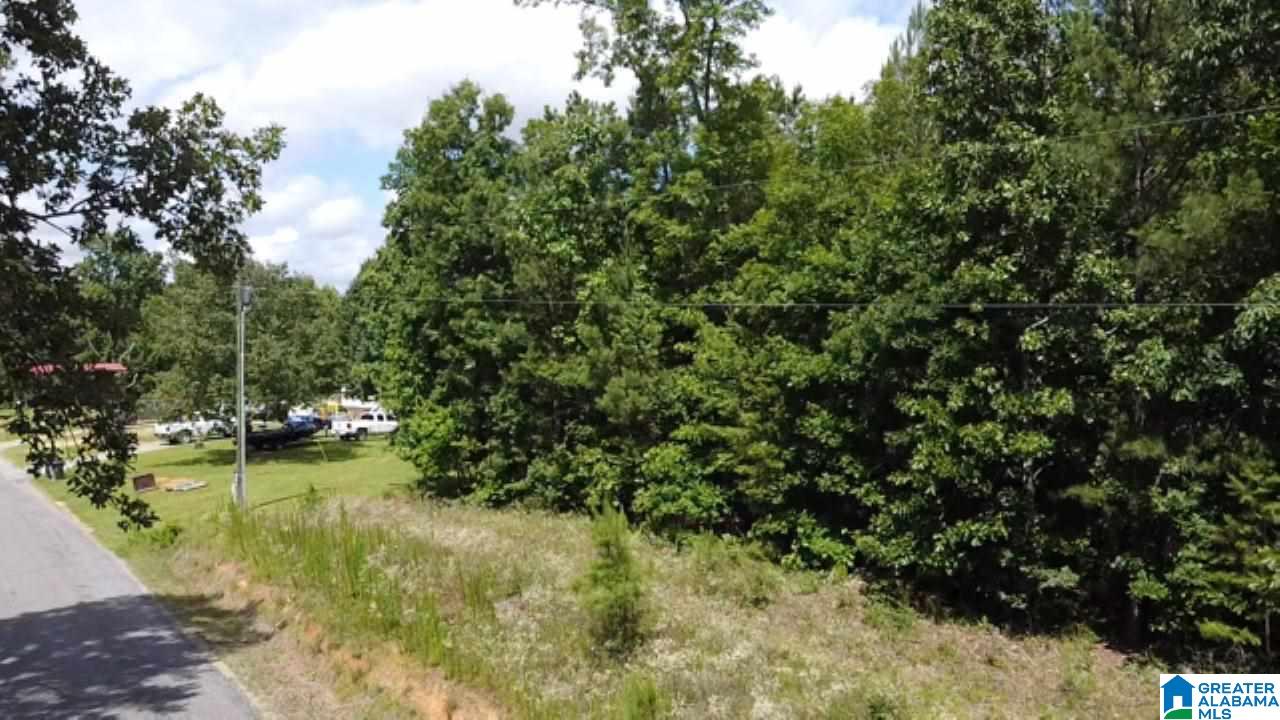 0 Wolf Pen Ridge Road, Unit 3 ACRES Pell City, AL 35128 - Photo 2 of 5