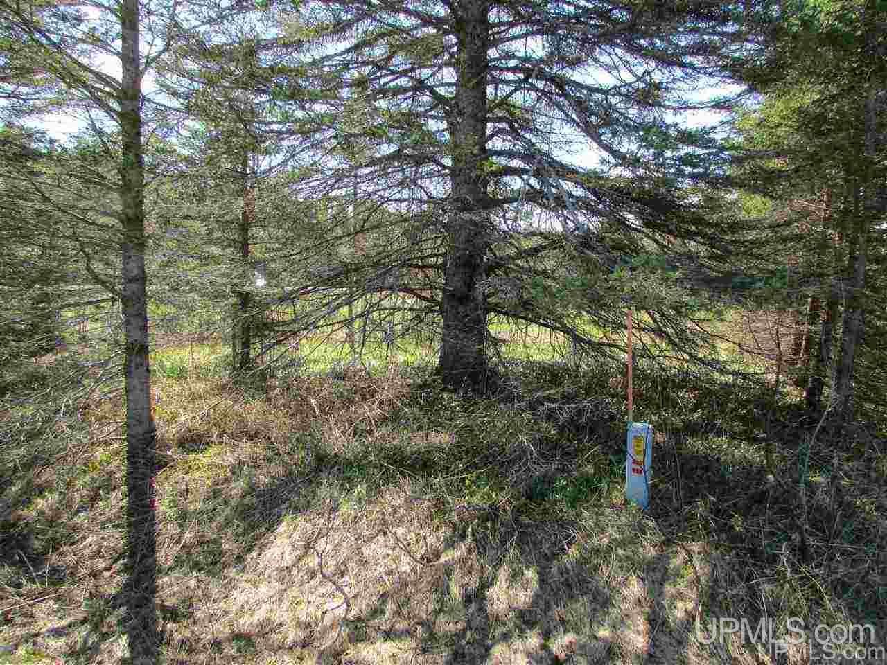 N6495 Co Road Shingleton, MI 49884 - Photo 6 of 17